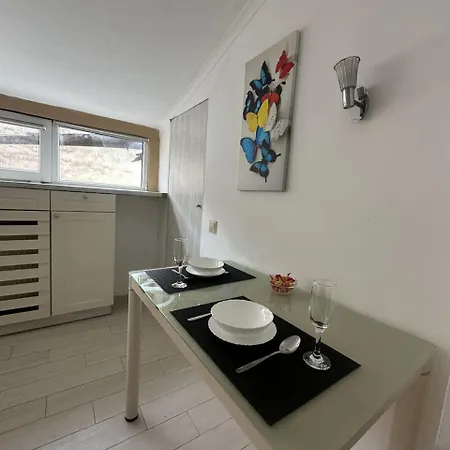 Apartment Center Near Opera House *