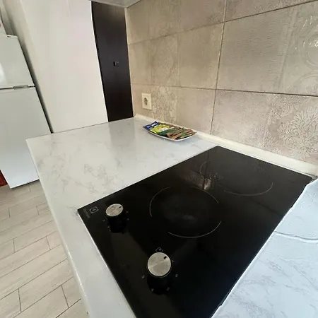 Center Near Opera House Apartment Lviv