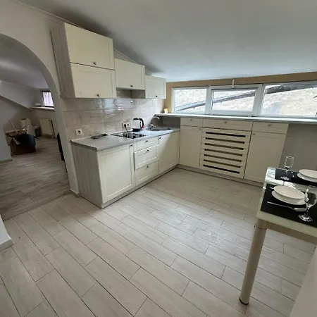 Center Near Opera House Apartment Lviv