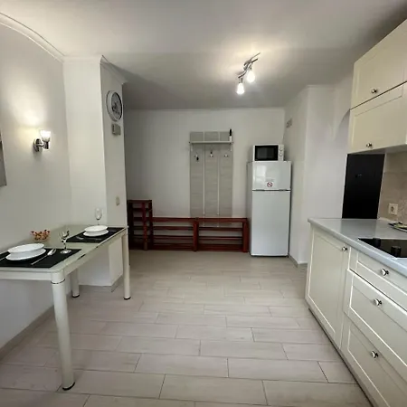 Center Near Opera House Apartment Lviv