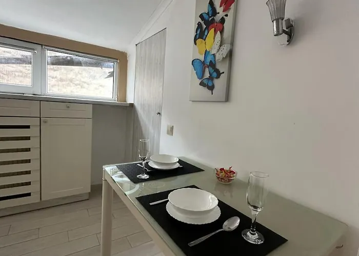 Apartment Center Near Opera House *