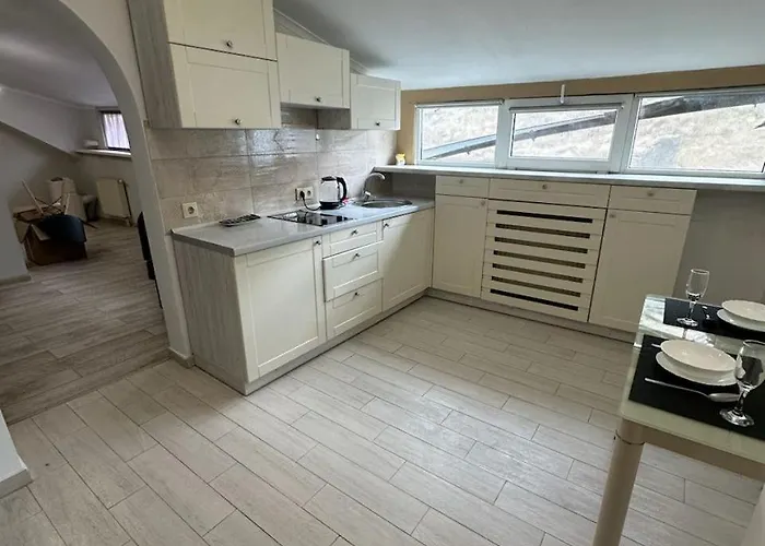 Center Near Opera House Apartment Lviv