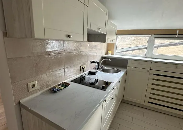 Center Near Opera House לבוב