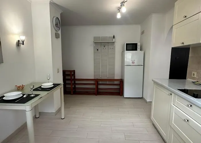 Center Near Opera House Apartment Lviv